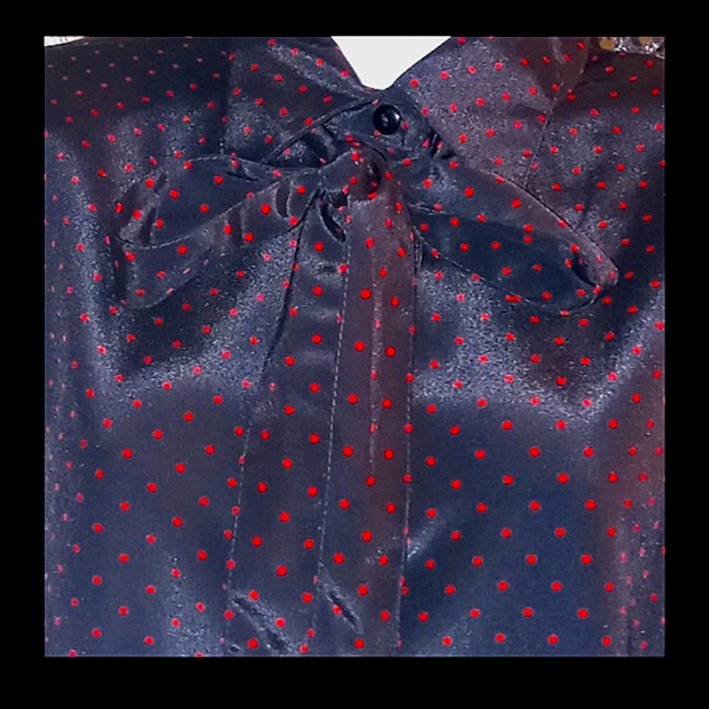 NWOT,Vintage 80s,Black with Tiny Red Polka Dots,Silky,Button Down,Blouse❤️🖤❤️